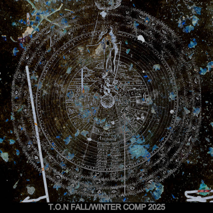 FALL/WINTER COMPILATION | Trans of Noise