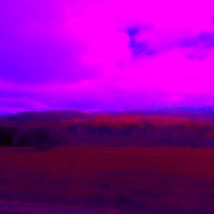 Under the Guise of the Water Buffalo Under the Guise of the Water