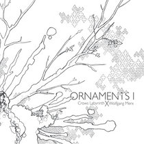 Ornaments I cover art
