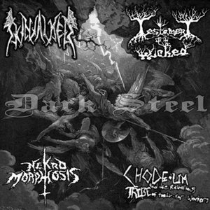 Dark Steel cover