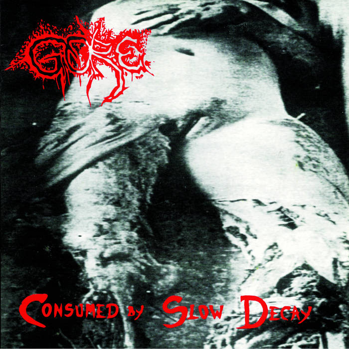 Consumed by Slow Decay | Gore | Consumed in Gore