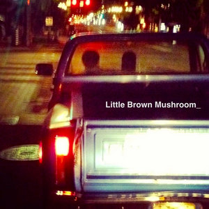 Little Brown Mushroom cover