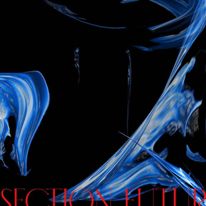 LAKSHMI PLANUM Section Futur