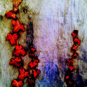 Niagara Parkway cover