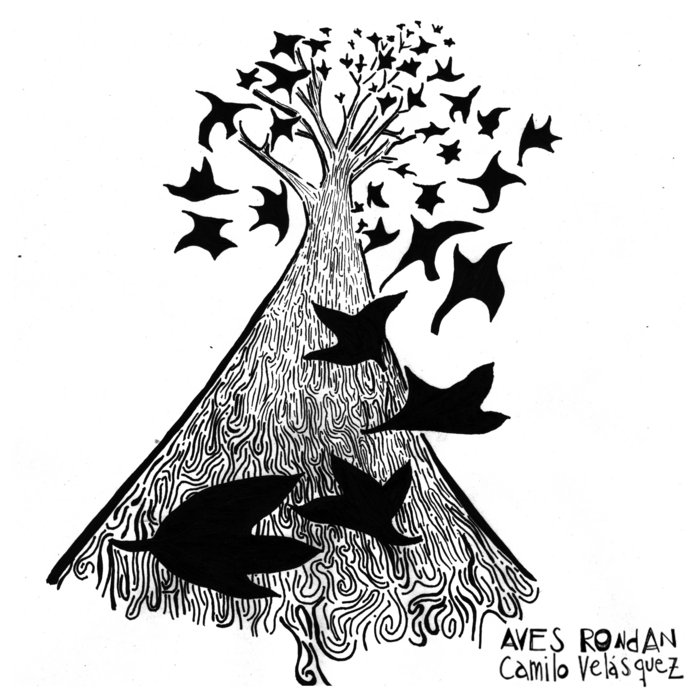 Aves Rondan | Camilo Velásquez