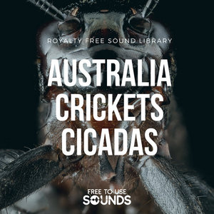 Australian Cicadas and Crickets Sound Effects cover