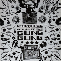 Return Of The Gung Gung cover art