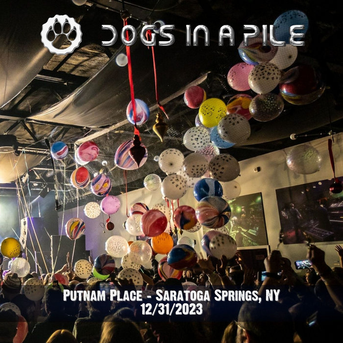 12/31/23 Putnam Place Saratoga Springs, NY Dogs In A Pile