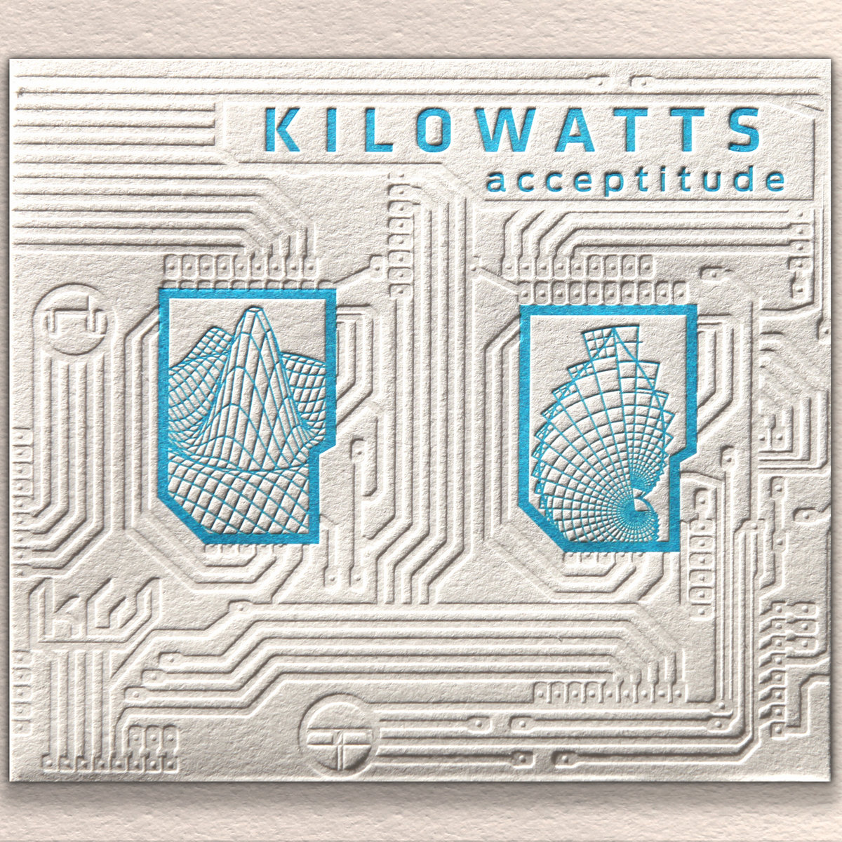 Seven Succulents Kilowatts
