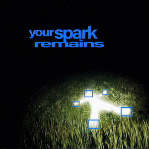 your spark remains cover