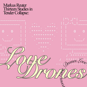 Thirteen Studies in Tender Collapse: Love Drones cover
