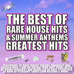 THE BEST OF RARE HOUSE HITS & SUMMER ANTHEMS GREATEST HITSAmadeezy & Rare Gang cover