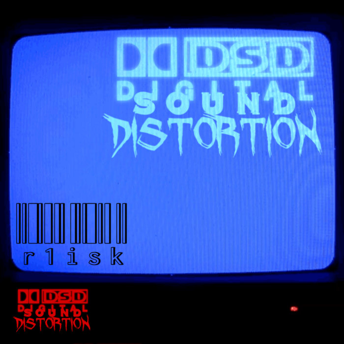 DIGITAL SOUND DISTORTION r1isk