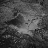 Ajna - October Seclusion