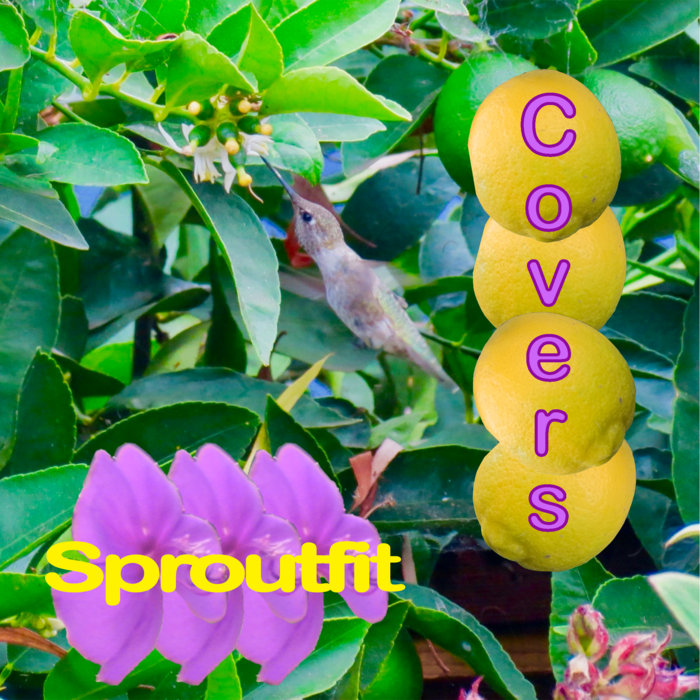 Covers | Sproutfit