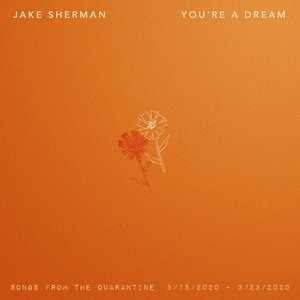 You're A Dream cover