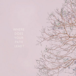 Where Does Your Path Lead? cover