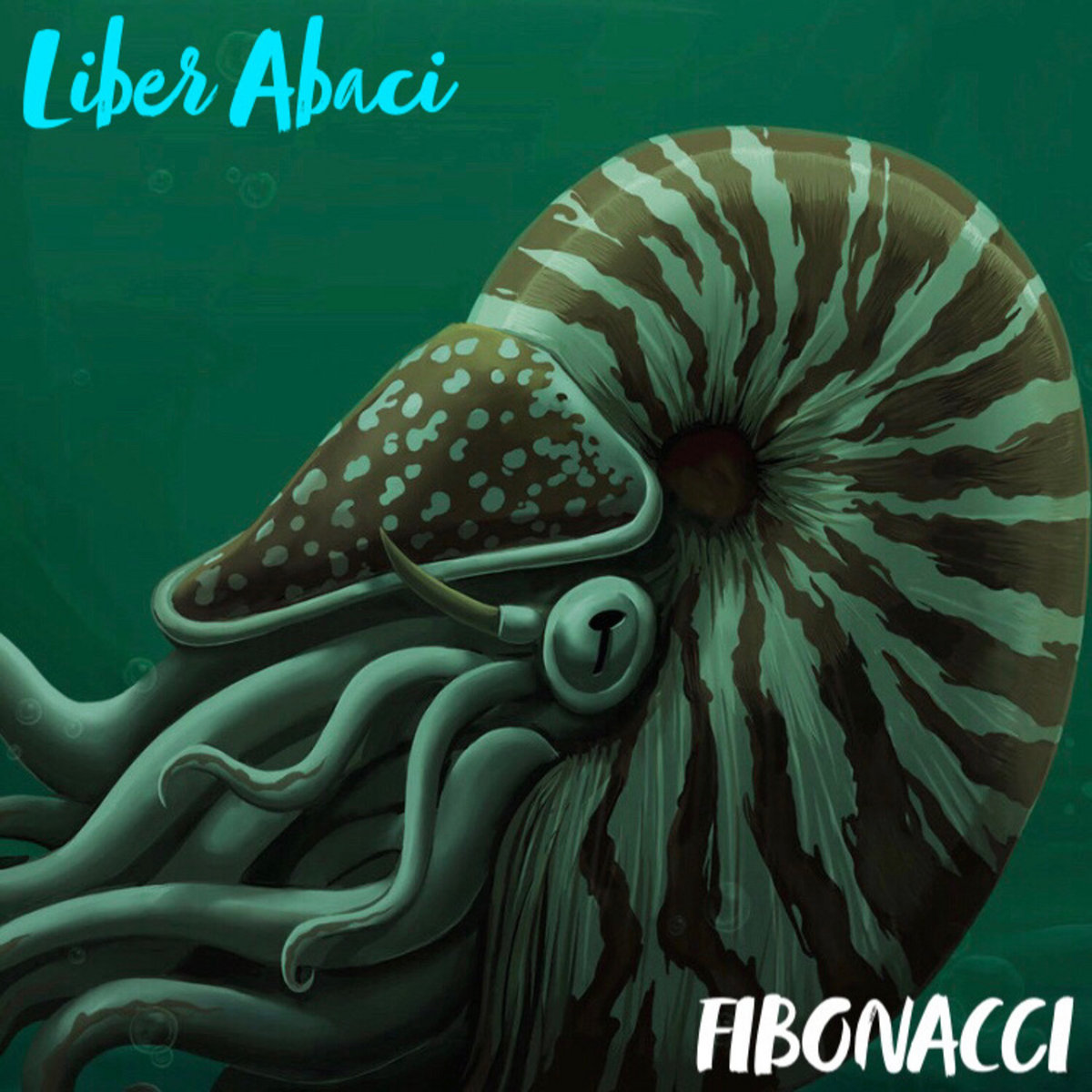 Liber Abaci | FIBONACCI display picture 2