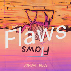 Flaws cover