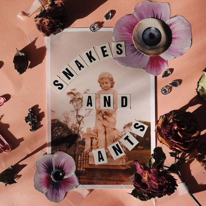 Snakes and Ants Acid Cherry