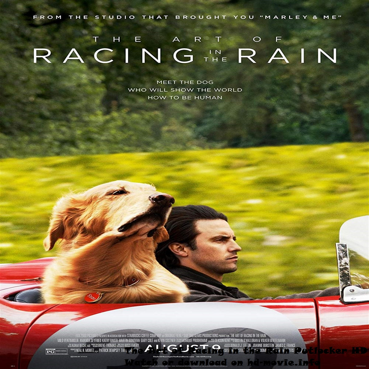 The Art of Racing in the Rain Putlocker HD paddtoguacu1976