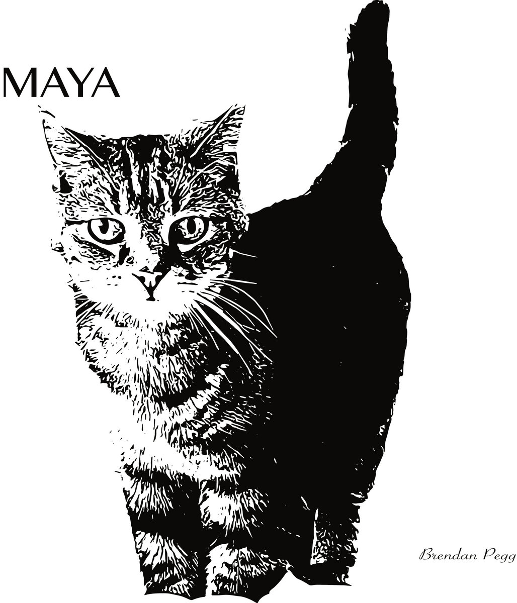 maya-brendan-pegg