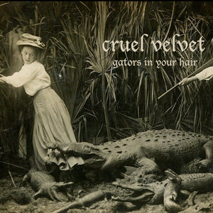 Gators in Your Hair cover