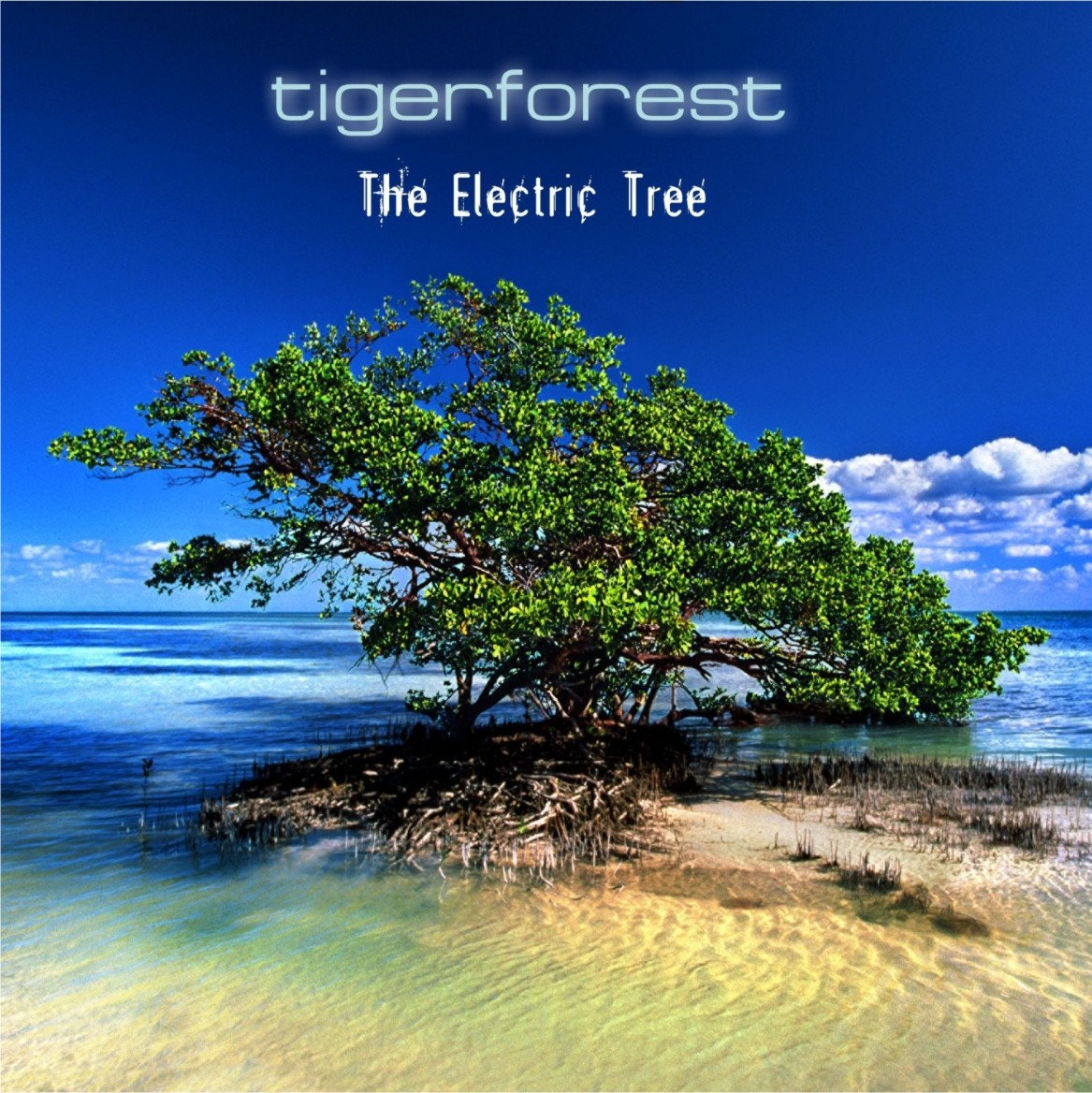 The Electric Tree | Tigerforest