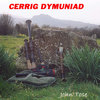 Cerrig Dymuniad