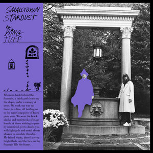 Smalltown Stardust (deluxe dust) cover