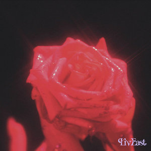 LVE UNLIMITED (Stripped) cover