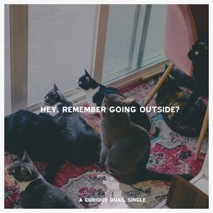 Hey, Remember Going Outside? (Single) cover
