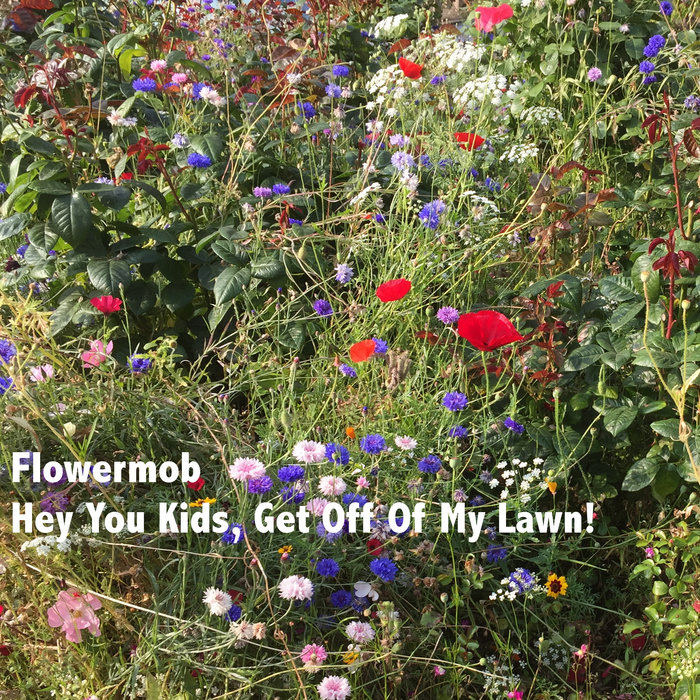 Police State, by Flowermob