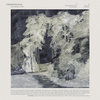 The Language of Limbs [2020]