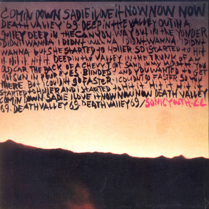洋楽 SONIC YOUTH & LYDIA LUNCH / Death Valley Vtg 1985 Sonic Youth Lydia Lunch Death Valley 69 Shirt S