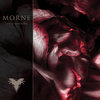 Live at Roadburn