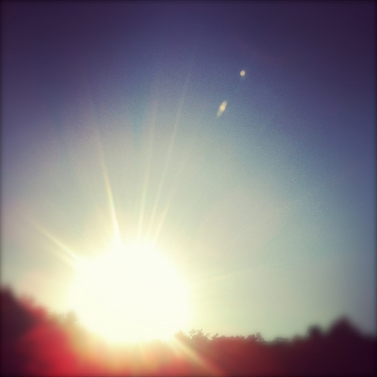 Sleeping Sun | Gallery Six
