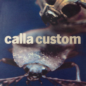 Calla — Custom (Remixes by Tarwater, Couch, Pan American, Datach'i ...)