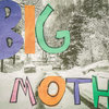 Big Moth EP Cover Art