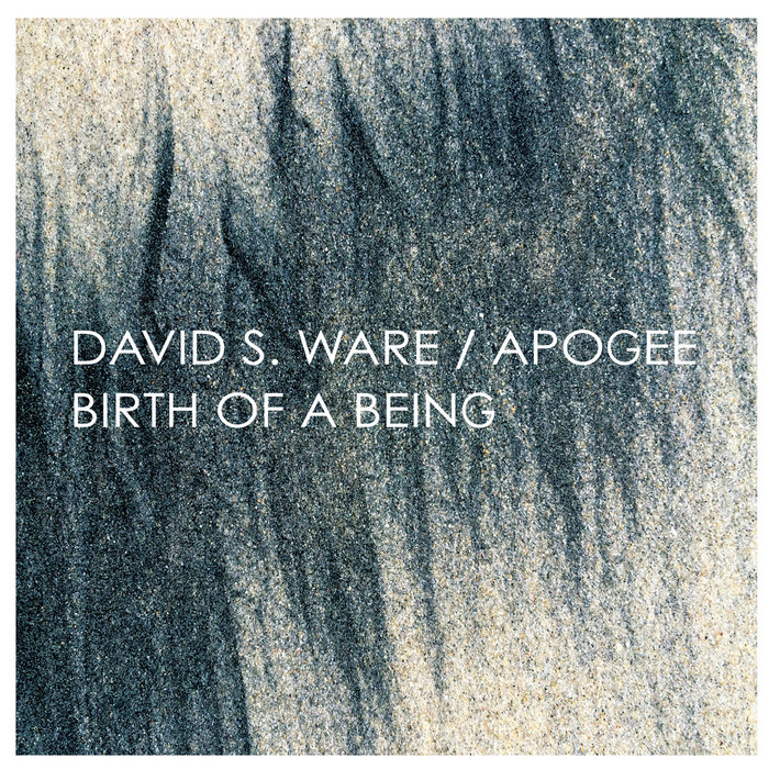 David S. Ware Birth of a Being LPレコード a0995722911_5.jpg