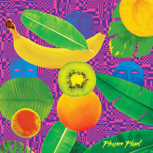Pleasure PlanetPleasure Planet, kim ann foxman cover