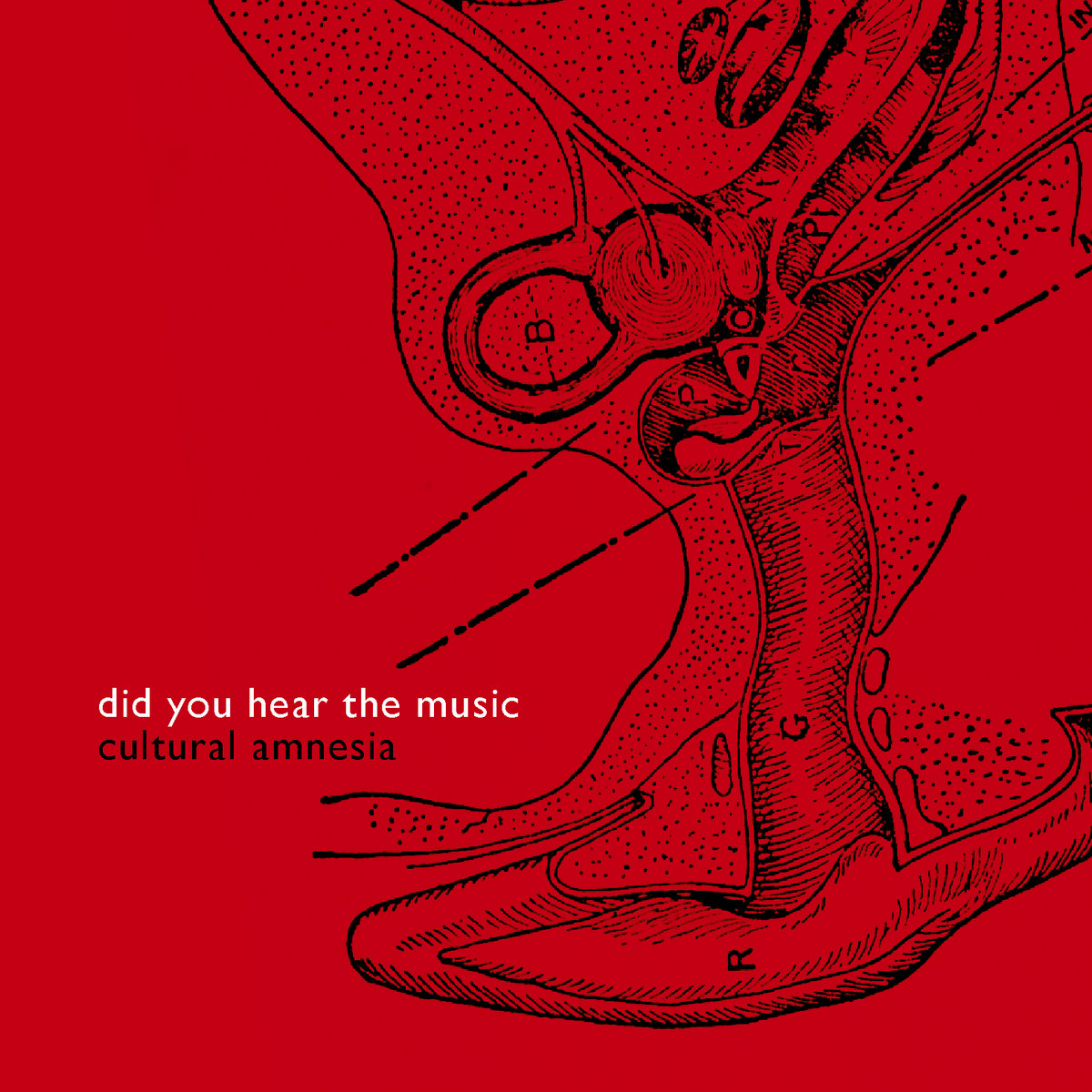 Did You Hear The Music | Cultural Amnesia