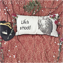 Life's a Hoot cover art