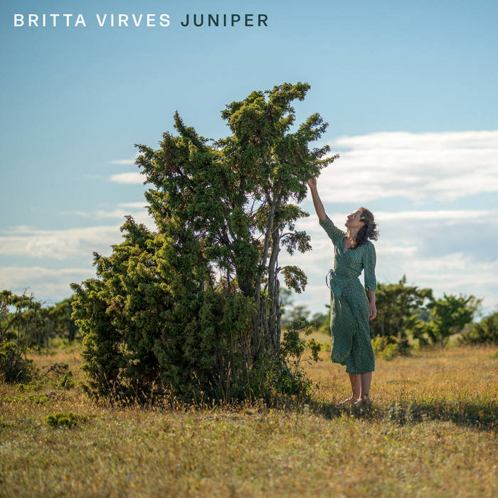  Juniper von Britta Virves 