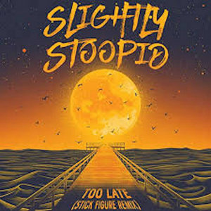 Slightly Stoopid — Slightly Stoopid-Too Late (Stick Figure Remix)