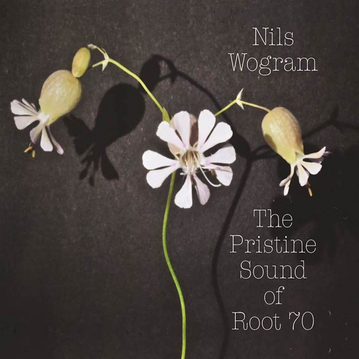 The pristine sound of Root 70 | Nils Wogram & Root 70 | Nils Wogram