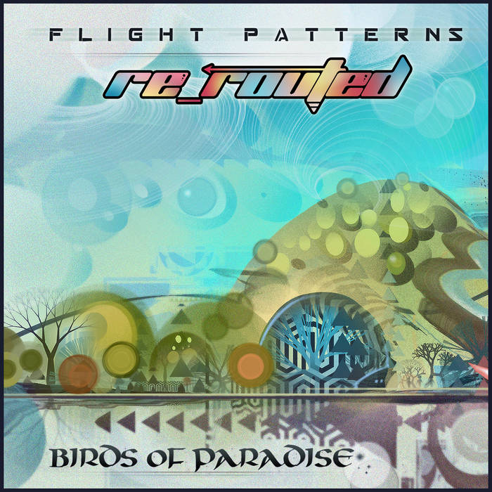 Birds of Paradise - Flight Patterns (Re-Routed) | Birds of