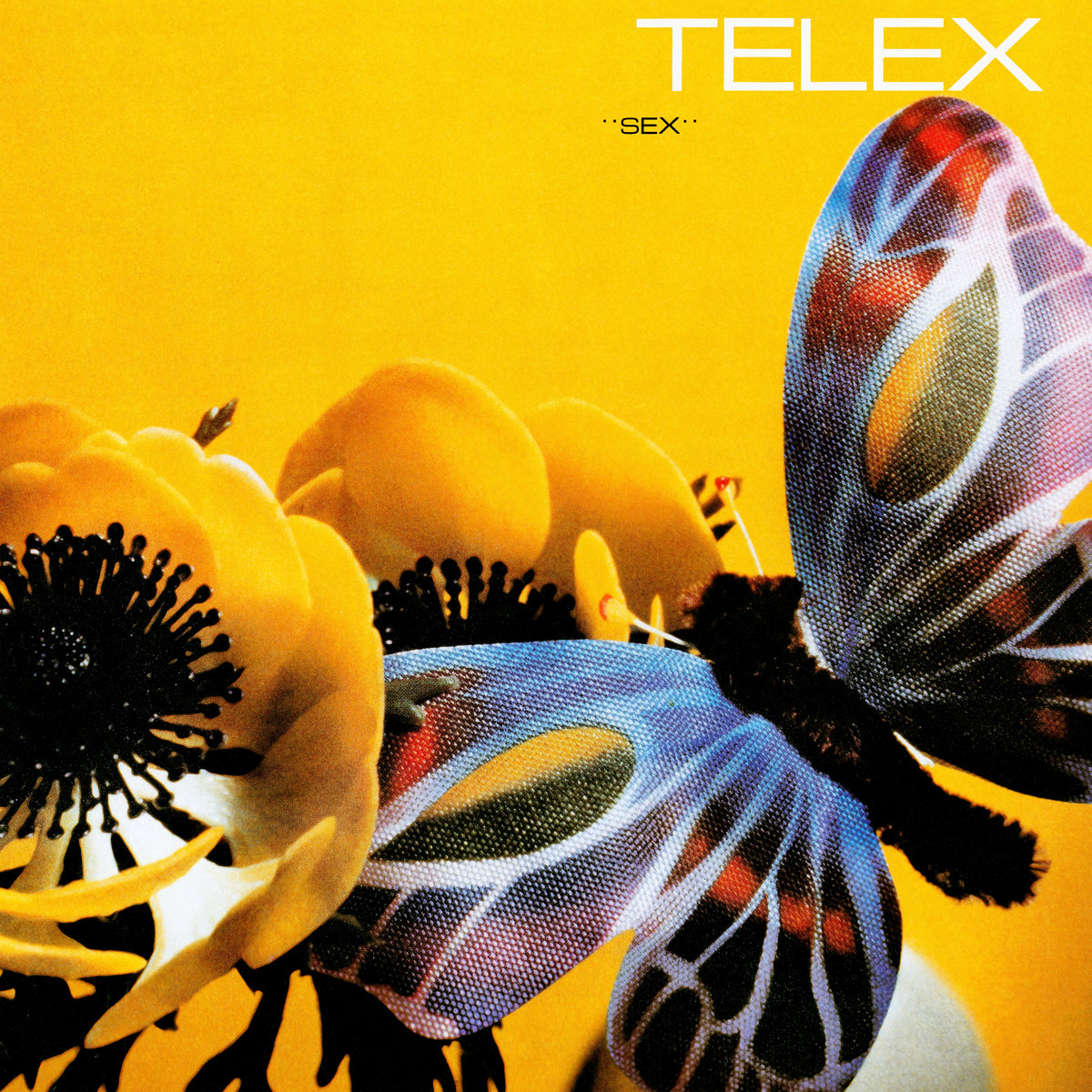 Sex | Telex