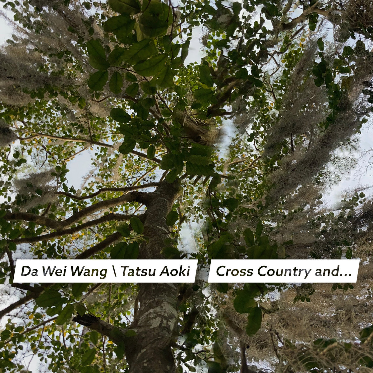 Cross Country And ... | Da Wei Wang / Tatsu Aoki | FPE Records