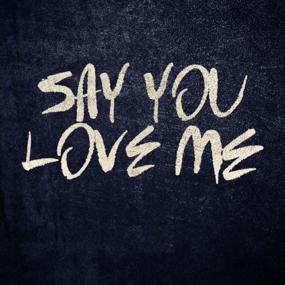 Say You Love Me Dim Zach Edit Dim Zach